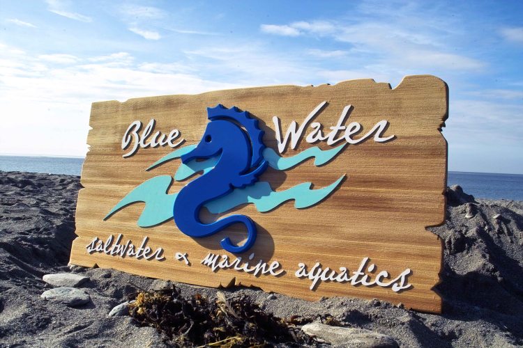 Blue water signage